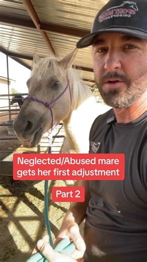 12 reactions | Getting healing hands on abused or neglected horses is a great way to help them heal from past trauma! Even if no adjustments can be accomplished, it’s still extremely therape | Sport Horse | Facebook
