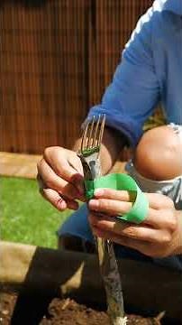 Backyard Hacks That Actually Work 🌿😱