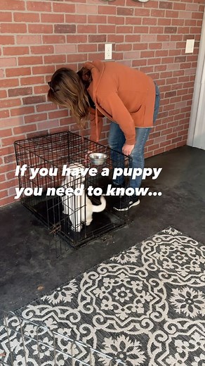 4K views · 26 reactions | Teach them Patience! We all know golden...