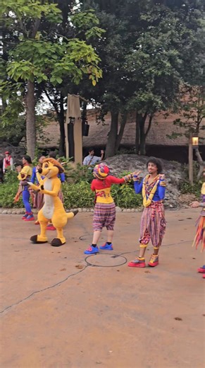 7K views · 70 reactions | Timon si Pumba | Ionut Ghita | Facebook