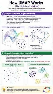 UMAP ℹ️ Basics of ML ✨ Important Tech Updates of 28th June 2026👩🏻‍💻 Code 💻