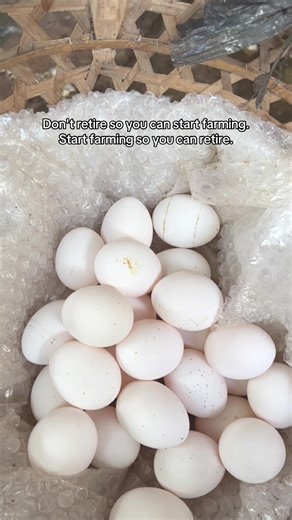 🙏 #fyp #viral #farmlife #foryoupage #rfpeggcellentfarm