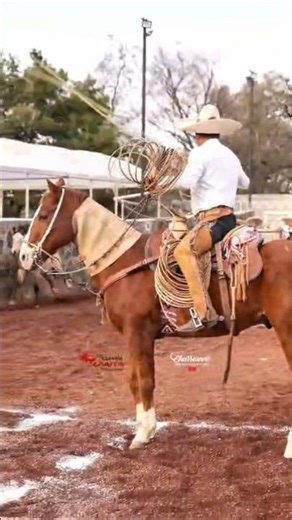 Mexican Rodeo Star Shows Off INSANE Roping Skills in a Cloud of Smoke