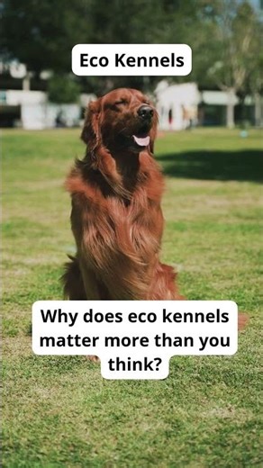 Stop Plastic Waste with Eco Poop Bags (Eco Tip #17)36