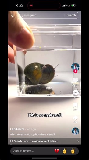 Genuinely hell 💔💔😭#funny #popular #viral #fyp #torture | lab germ