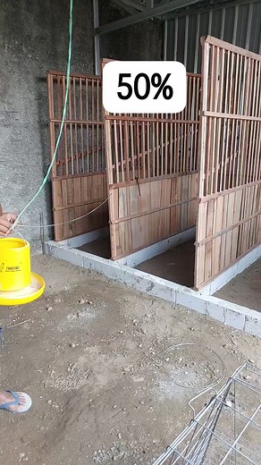 50% pemasangan... 6 room siapan.... Musik original #musik #kudus #kandangayam | Toni Q RasaRasta