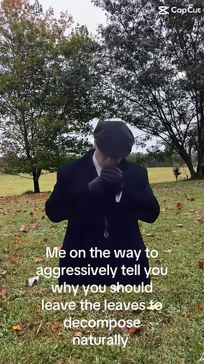 It’s my annual campaign! I will never get off this hill 🍂 #leavetheleaves