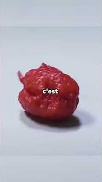 Le piment le plus fort du monde 🌶️