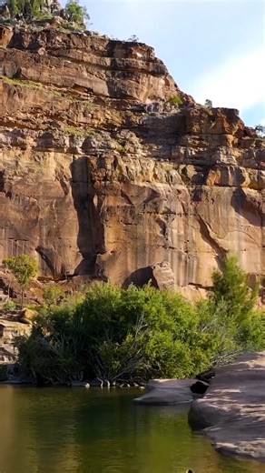 24K views · 155 reactions | No two days are the same when you’re in...