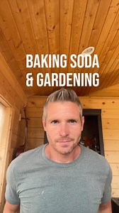🌱🌿 Gardener’s Secret: Baking Soda! 🌿🌱 Baking soda is your secret weapon in the garden! 🪴 It’s a natural and budget-friendly solution to a host of gardening challenges. Got fungal diseases on your plants? Mix up a solution with baking soda to keep them at bay. 🍅 Want sweeter tomatoes? Adjust the soil’s pH levels with this magic powder. And guess what? It’s also a pest repellent! 🐛 But that’s not all – baking soda can even help with compost odors and correct overly acidic soil. Just remembe