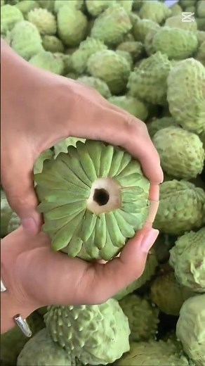 ❤💛💙#shorts#reels#tiktok #youtubeshorts#youtube #facebook#travel#youtuber #viral#viralvideo#travel🌈🚬