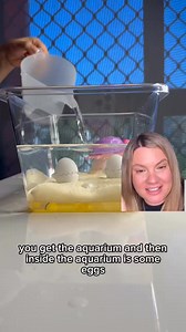 🐢✨ Hatch the magic with Mama Turtle Surprise! Will she reveal 2, 3, or even 4 baby turtles? Each hatch is a surprise – and the fun doesn’t stop there! She swims in water and brings her underwater world to life. With a resettable feature, your little one can hatch her adorable babies again and again! ✅ Up to 4 surprise baby turtles ✅ Sensory-rich, imaginative play ✅ No screens, just endless fun 🎁 Perfect for ages 3 Give the gift of playtime magic – before they all hatch and sell out! 🐣 🛒 Shop