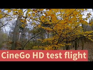 CineGo HD test flight | FPV DVR