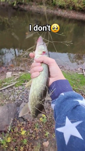 fishing #fishing #basspumping #bassfishing #bassfeatured