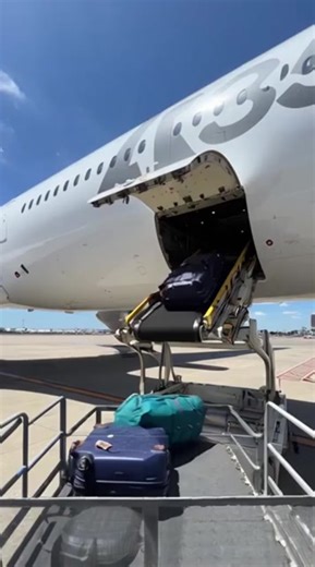 Unloading Cargo Hold Luggage