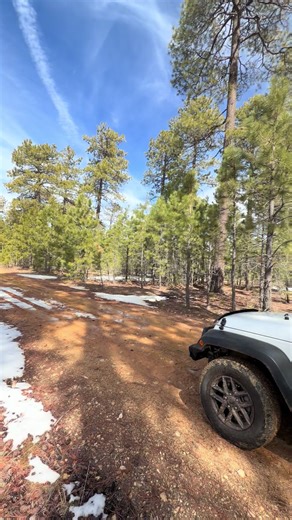 Exploring Bear Canyon Lake in Arizona