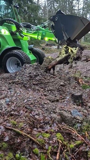 AVANT Stump Removal #avant