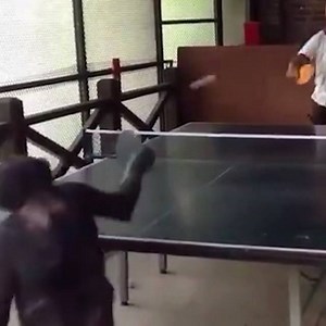 131K views · 810 reactions | Next level ping pong skills  | Whistle Sports | Facebook