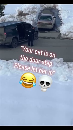 Funny cop #oldies #music #cops #funny