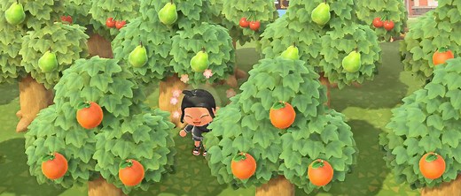 [GUIDE] Obtenir l'ensemble des fruits et plantes dans Animal Crossing New Horizons
