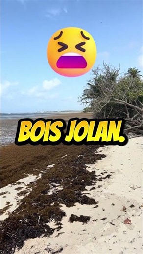 Bois Jolan en #guadeloupe ce 30 juillet.