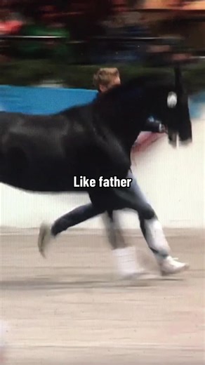 The Legacy of Equestrian Moves: Like Father, Like Son