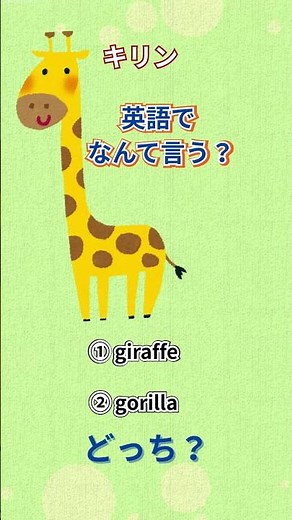 「キリン」英語でなんて言う？知っているようで知らない英語。英単語の動物カードからのクイズです。