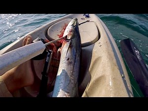 Catch and Cook- King Mackerel Patties! (Best Mackerel Recipe Ive Seen!)