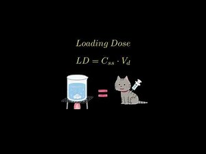 Pharmacokinetics: Bolus Loading Doses
