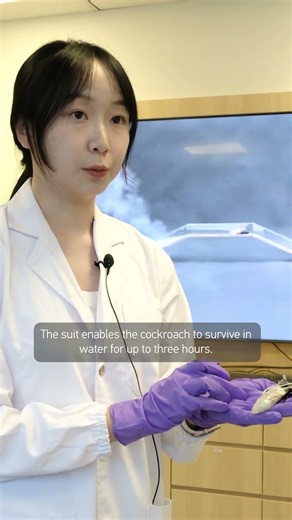 Do you remember our search-and-rescue cyborg cockroaches? They swim now 🤿