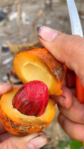 Pala lokar #buahbuahansegar #fruit