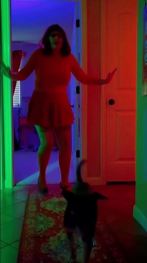 Scooby Doo Mystery Inc. Group Costume! 🐾