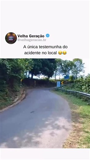 Velha Geração 📺 on Instagram: "Os CDs chegaram no Brasil em 1985 e mudaram para sempre a forma de ouvir música. Até então, a fita K7 era a queridinha das gerações! O primeiro celular surgiu em 1983, mas só quem tinha muito dinheiro poderia pagar pela enorme “tijolada”! O Game Boy foi lançado em 1989 pela Nintendo e se tornou um dos brinquedos mais desejados, revolucionando o mundo dos videogames portáteis. 🎮 Mortal Kombat foi lançado em 1992, criando um verdadeiro fenômeno de debates (e contro