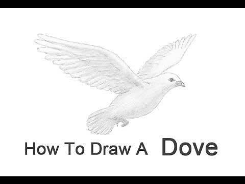 How to Draw a Dove