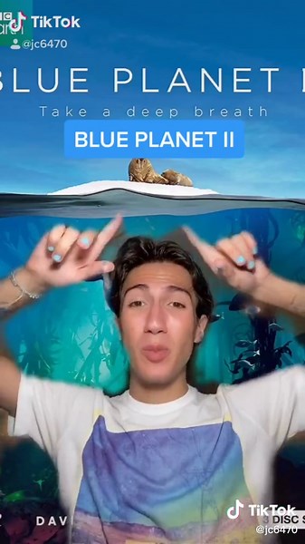 Best Sea Life Documentaries and Ocean Documentaries Compilation