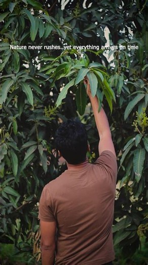 Every Mango Starts Like This 🥭