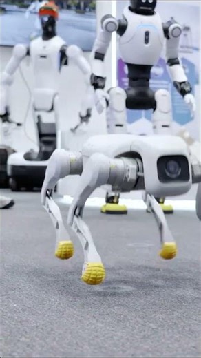 🤖 AGIBOT D1 Pro/Edu: Quadruped Robot Mastery of Jump & Backflip