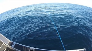 2.8K views · 125 reactions | Out came the jigs and it was time to bomb the baitball . #gypsy #jig #microjigging #nomad #design #tackle #bkk #sea #ranger #twin #assist #pandora #braid #riptide #fluorocarbon #craftedbyexperience #bkkhooksaustralia Nomad Design Australia BKK Hooks Australia | Scott Gray Fishing | Facebook