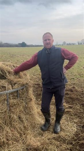 Farmer Oli tells us how he takes care of his 550 sheep in Leicestershire🐑 #BackBritishFarming | Back British Farming NFU