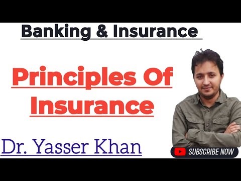 Principles Of Insurance | What Are Principles Of Insurance | Understanding Principles Of Insurance
