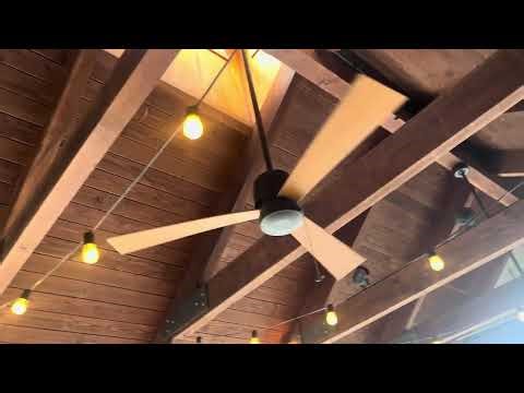 Fanimation Zonix Wet ceiling fans