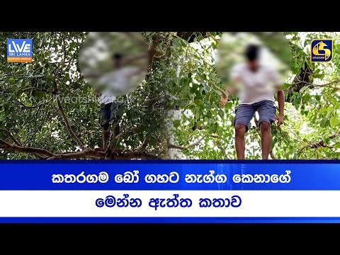 කතරගම බෝ ගහට නැග්ග කෙනාගේ මෙන්න ඇත්ත කතාව