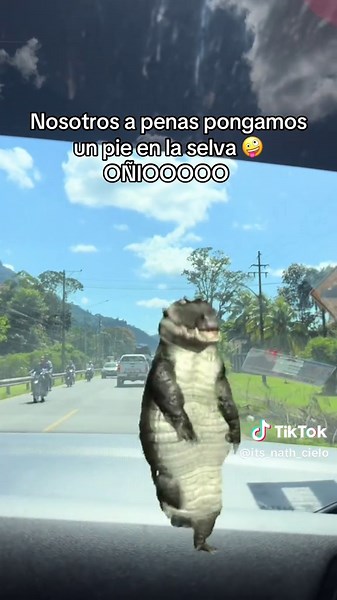 @⚔️🌽𝓙𝓱𝓸𝓷 𝓐3🪽🌽 Sientelooo 😆 #CapCut #fyp #tingomaria #sanjuan 🦜🍃🐒