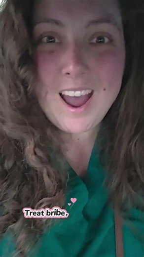 Vet Tech Life | POV You Work at a Vet Clinic