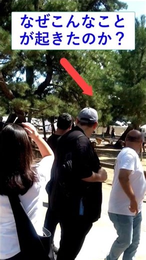 [なぜこんなことが起こっているのか..]初めて奈良公園で鹿を見た外国人観光客の反応！#外国人 #日本 #奈良公園