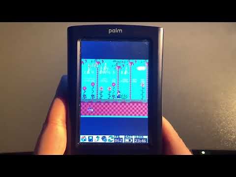 Why You Should Get a Palm Pilot