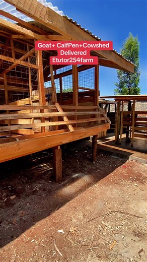 A goat pen that can hold 15-20 goats , 3 cowshed and a calf pen delivered , call etutor254farm if you need your farm structures properly done💯