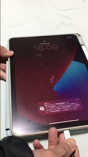ダイソーの変換アダプタでMicroーBの差し込みをTYPEーCに変換してiPadを充電してみた
