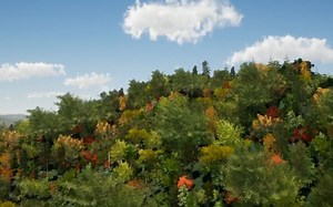 数据处理——资源发布