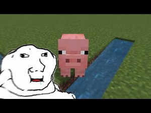 The Minecraft pig spin experiment…